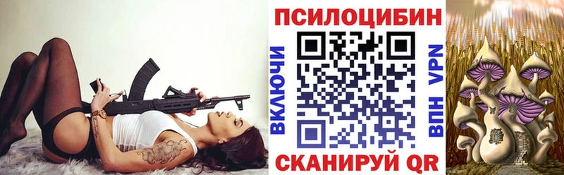 Галлюциногенные грибы мицелий  где можно купить   нарко площадка официальный сайт  Ельня 